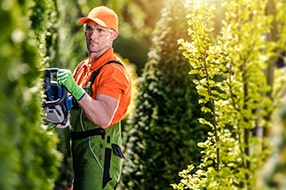 Entretien d'espaces verts